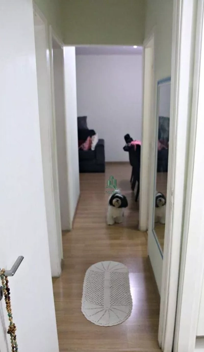 Apartamento, 3 quartos, 65 m² - Foto 4