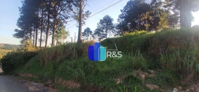 Terreno, 5000 m² - Foto 3