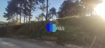 Terreno, 5000 m² - Foto 2