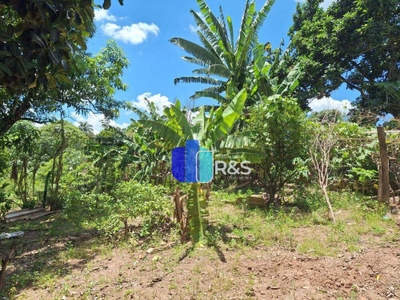 Chácara, 3 quartos, 1260 m² - Foto 4