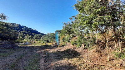 Terreno, 4 hectares - Foto 4