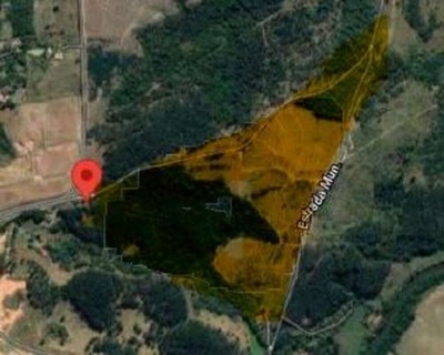 Sítio, 2 hectares - Foto 3