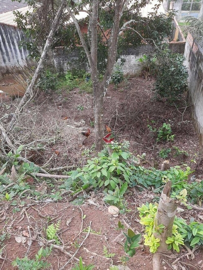 Terreno, 302 m² - Foto 1