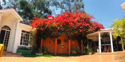 Casa, 4 quartos, 568 m² - Foto 2