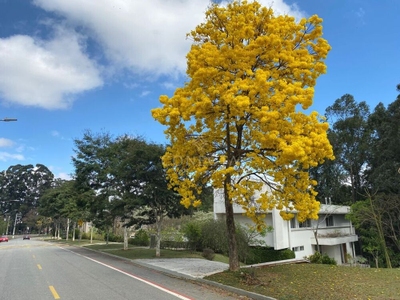 Casa, 4 quartos, 950 m² - Foto 2