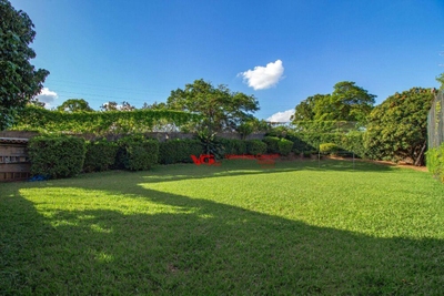 Chácara, 3 quartos, 5212 m² - Foto 2