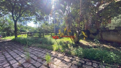 Chácara, 2 quartos, 2900 m² - Foto 2