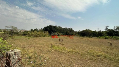 Terreno, 2 hectares - Foto 2