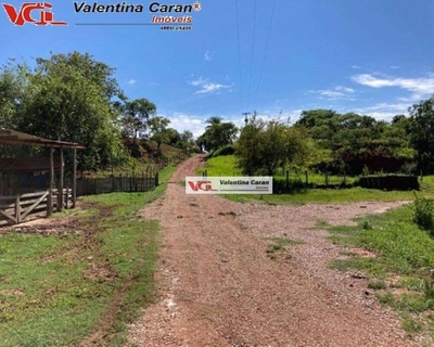 Sítio, 4 quartos, 44 hectares - Foto 2