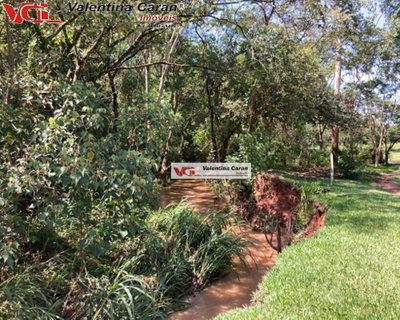 Sítio, 4 quartos, 44 hectares - Foto 4