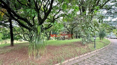 Chácara, 4 quartos, 1 hectares - Foto 4