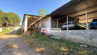 Terreno, 10 hectares - Foto 1