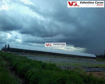 Sítio, 1 quarto, 6 hectares - Foto 3