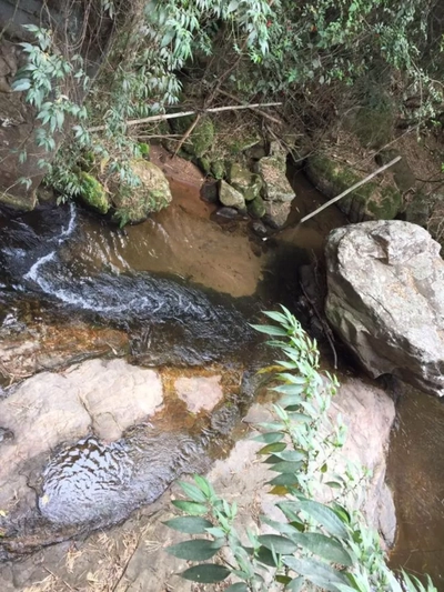 Sítio, 4 quartos, 5000 m² - Foto 3