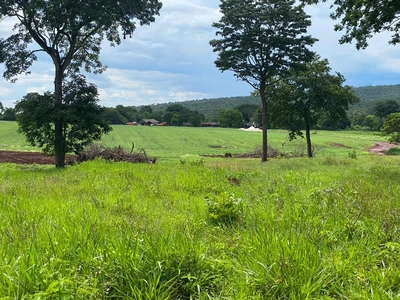 Fazenda, 4 quartos - Foto 1