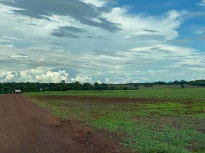 Fazenda, 4 quartos - Foto 5