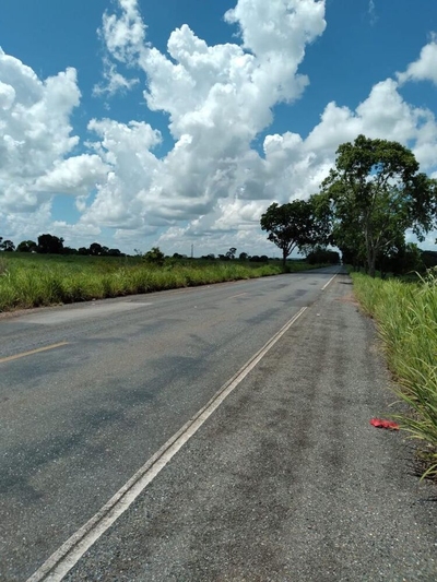 Fazenda-Sítio-Chácara - Foto 4