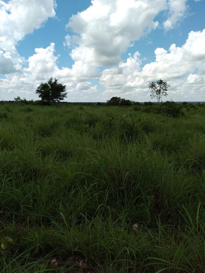 Fazenda-Sítio-Chácara - Foto 3