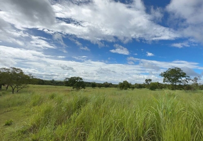 Sítio, 4 quartos, 15 m² - Foto 4