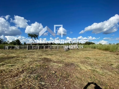 Fazenda-Sítio-Chácara - Foto 4