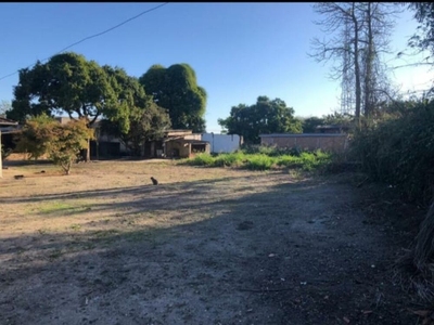 Sítio, 2 quartos, 2961 m² - Foto 5