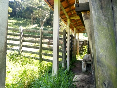 Sítio, 2 quartos, 77 hectares - Foto 2