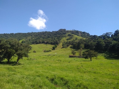 Sítio, 2 quartos, 77 hectares - Foto 3