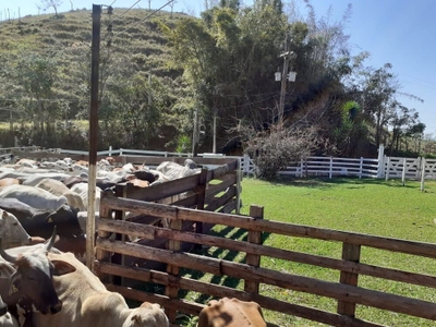 Terreno, 48 hectares - Foto 1