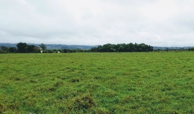 Terreno, 2 hectares - Foto 1