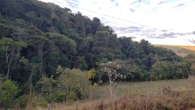 Terreno, 3 hectares - Foto 4