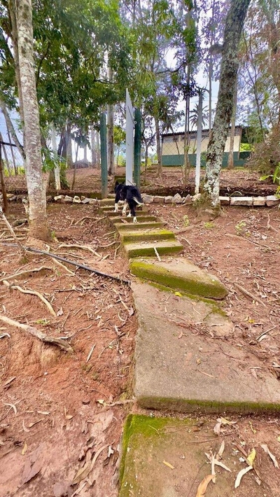 Chácara, 5 quartos, 1 hectares - Foto 5