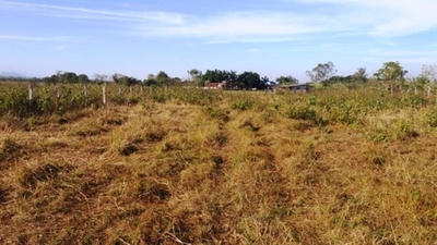 Terreno, 2000 m² - Foto 2