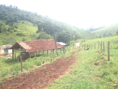 Fazenda-Sítio-Chácara, 487 hectares - Foto 1