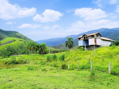 Terreno, 8 hectares - Foto 5