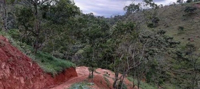 Terreno, 1000 m² - Foto 3