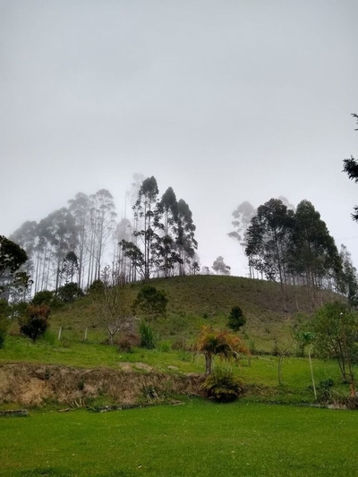 Sítio, 5 quartos, 2 hectares - Foto 4