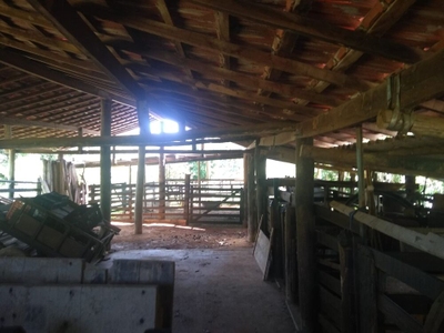 Sítio, 2 quartos, 30 hectares - Foto 3