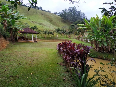 Sítio, 3 quartos, 3 hectares - Foto 1