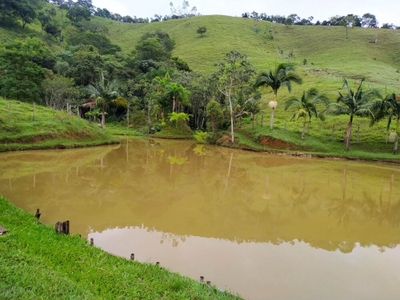 Sítio, 3 quartos, 3 hectares - Foto 5