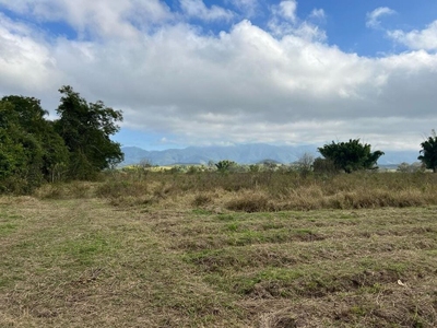 Terreno, 9 hectares - Foto 1