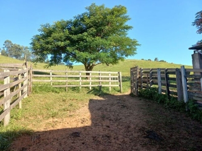 Terreno, 12 hectares - Foto 3