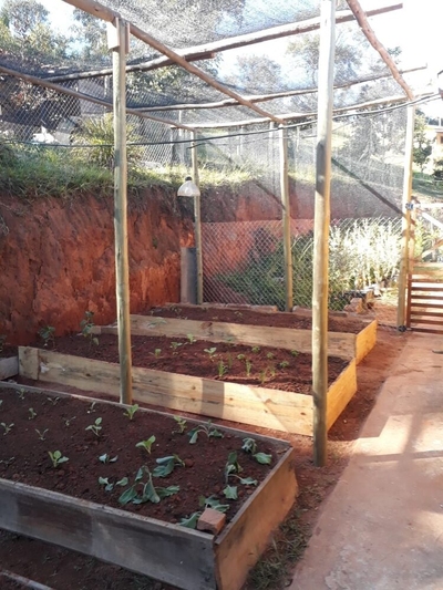 Chácara, 2 quartos, 1 hectares - Foto 4