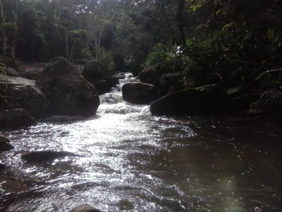 Sítio, 2 quartos - Foto 1