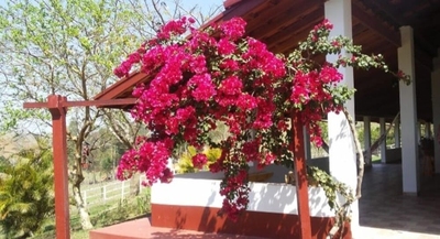 Sítio, 4 quartos, 4 hectares - Foto 2