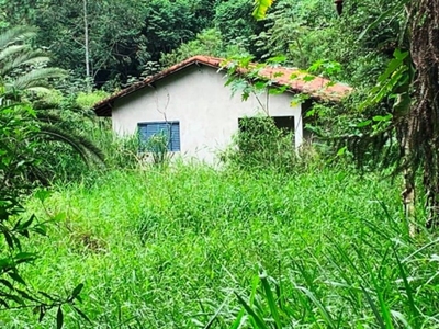 Terreno, 99 hectares - Foto 3