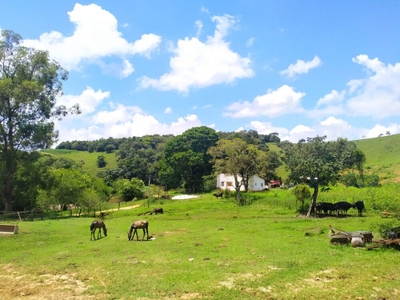 Sítio, 2 quartos, 41 hectares - Foto 4