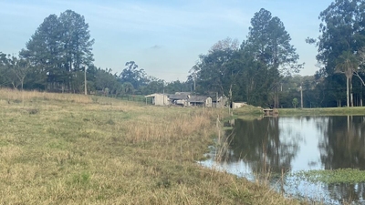 Sítio, 5 quartos, 8 hectares - Foto 5