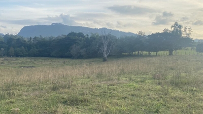 Sítio, 5 quartos, 8 hectares - Foto 4