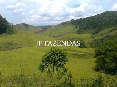 Fazenda-Sítio-Chácara, 94 hectares - Foto 4