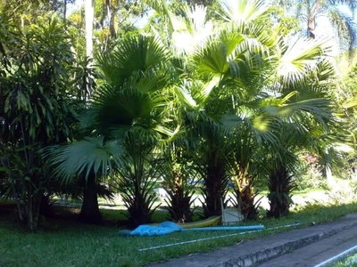 Sítio, 4 quartos, 2 hectares - Foto 2